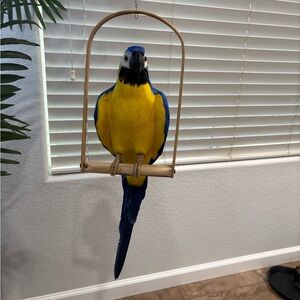 Blue and Yellow Bird Perch with Swings Handmade with feathers